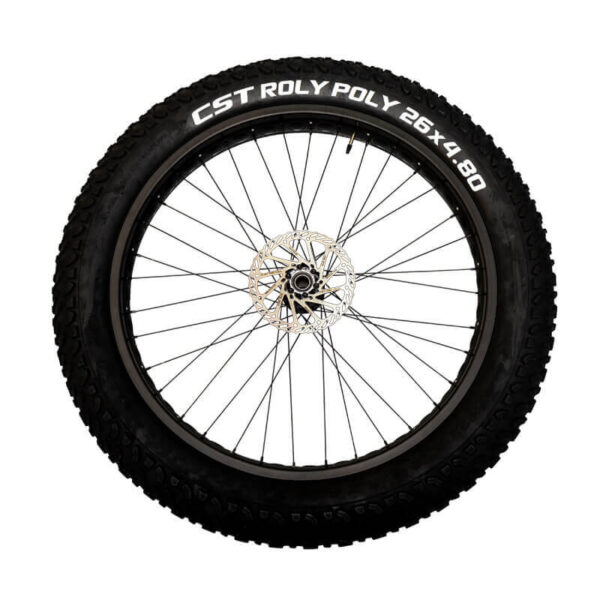 Rear Wheels - Image 5