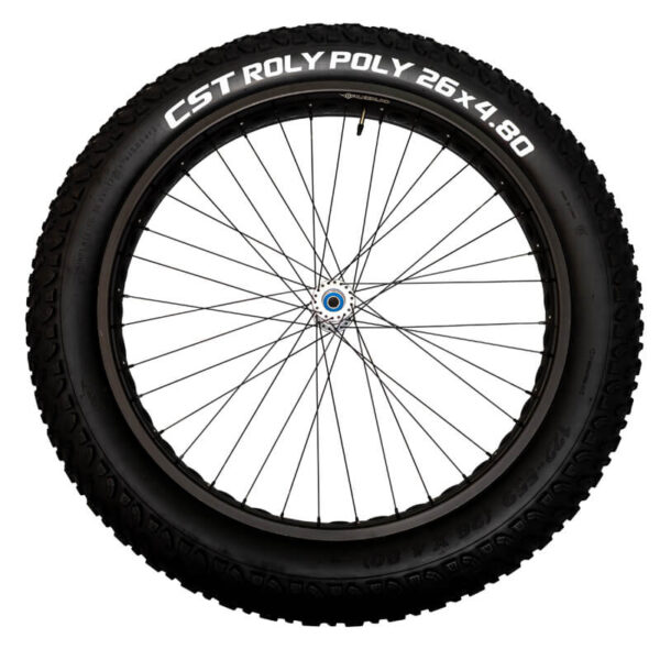 Rear Wheels - Image 3